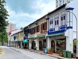 Tanjong Pagar Conservation Area (D2), Shop House #460345001